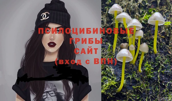 бошки Алексеевка