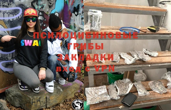 бошки Алексеевка
