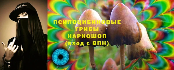 шишки Алексин