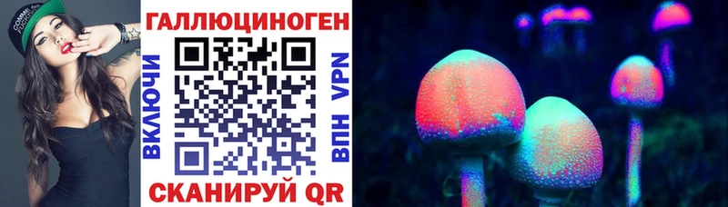 купить  цена  Сысерть  Псилоцибиновые грибы GOLDEN TEACHER 